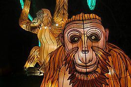 Bernhard Saalfeld - China-Light-Festival 2020 (5v9)